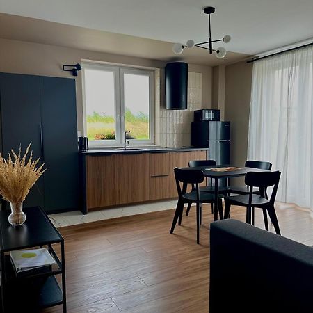 Apartamenty Przy Winnicy Бусько-Здруй Екстер'єр фото